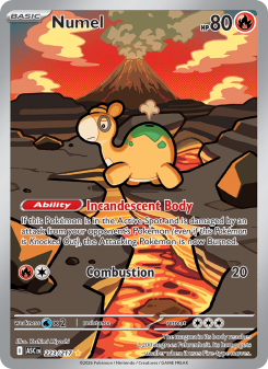 Numel ASC 223