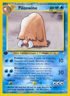 Piloswine NEO1 44