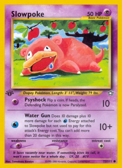 Slowpoke NEO1 73
