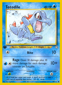 Totodile NEO1 80