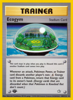 Ecogym NEO1 84