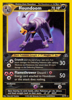 Houndoom NEO2 23