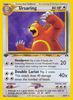 Ursaring NEO2 34