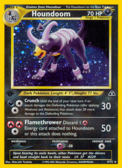 Houndoom NEO2 4