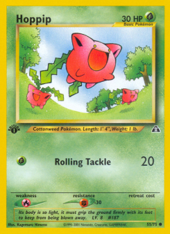 Hoppip NEO2 55