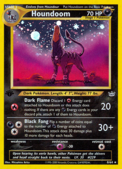 Houndoom NEO3 8