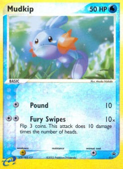 Mudkip NP 10