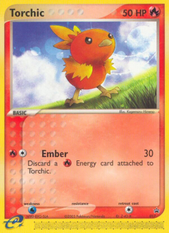 Torchic NP 17