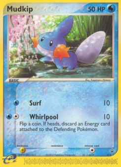 Mudkip NP 18