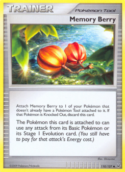 Memory Berry PL 110