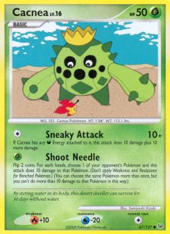 Cacnea PL 67