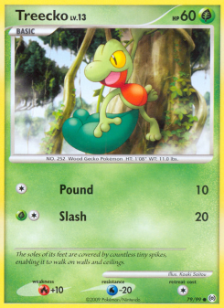 Treecko AR 79