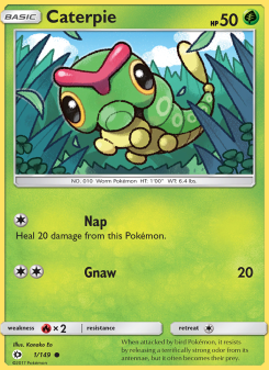 Caterpie SUM 1