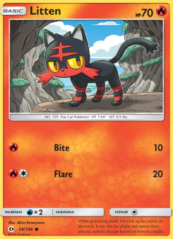 Litten SUM 24