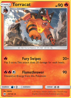 Torracat SUM 25