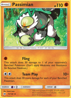 Passimian SUM 73