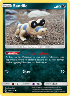 Sandile UNB 113