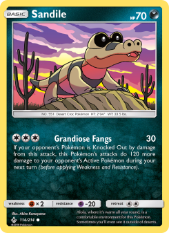 Sandile UNB 114