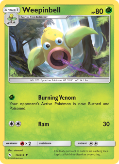 Weepinbell UNB 14