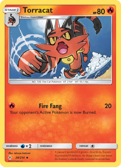 Torracat UNB 28