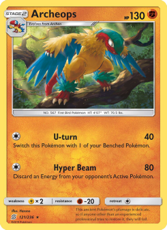 Archeops UNM 121
