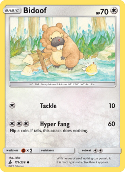 Bidoof UNM 171
