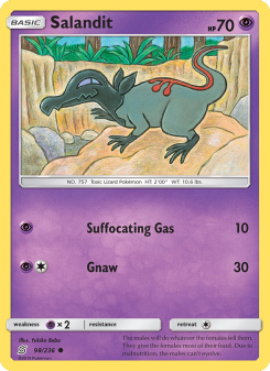Salandit UNM 98