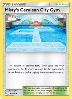 Misty’s Cerulean City Gym HIF 61