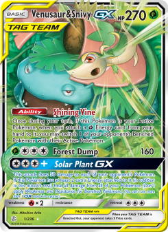 Venusaur & Snivy GX CEC 1