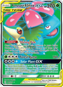 Venusaur & Snivy GX CEC 210