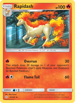 Rapidash CEC 24