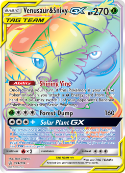 Venusaur & Snivy GX CEC 249