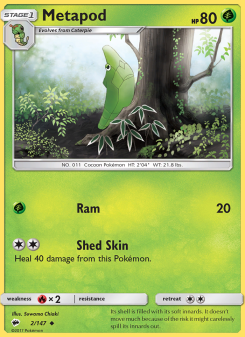 Metapod BUS 2