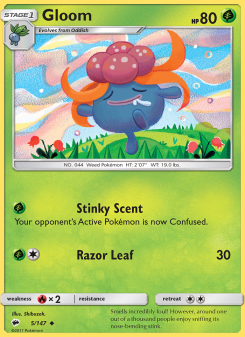 Gloom BUS 5