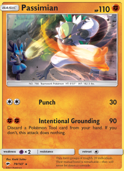 Passimian BUS 79