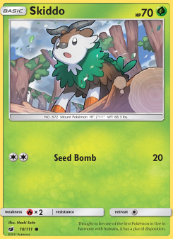 Skiddo CIN 10