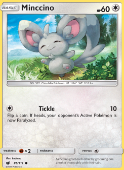 Minccino CIN 85