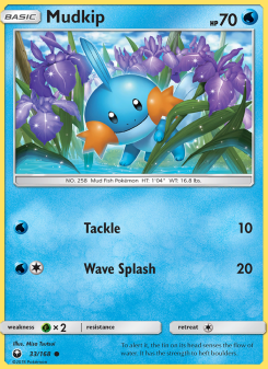 Mudkip CES 33