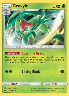 Grovyle LOT 21