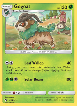 Gogoat LOT 36
