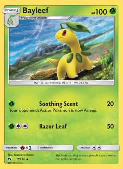 Bayleef LOT 7