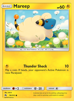 Mareep LOT 76
