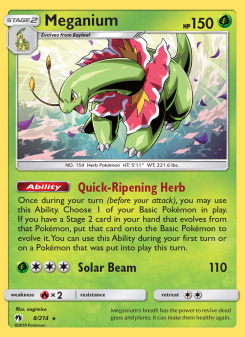 Meganium LOT 8