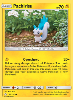 Pachirisu LOT 80
