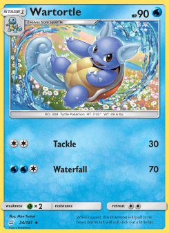 Wartortle TEU 24