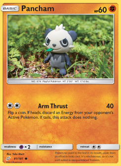 Pancham TEU 81