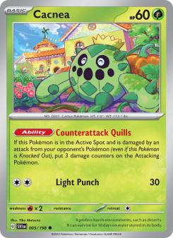 Cacnea SVI 005