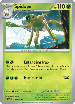 Spidops PAL 018