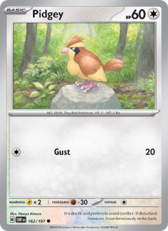 Pidgey OBF 162