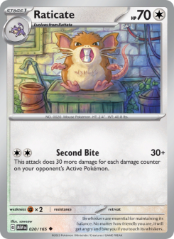 Raticate MEW 020